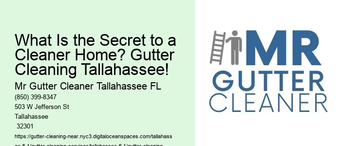 What Is the Secret to a Cleaner Home? Gutter Cleaning Tallahassee! 