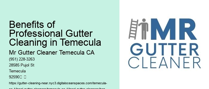 Benefits of Professional Gutter Cleaning in Temecula 
