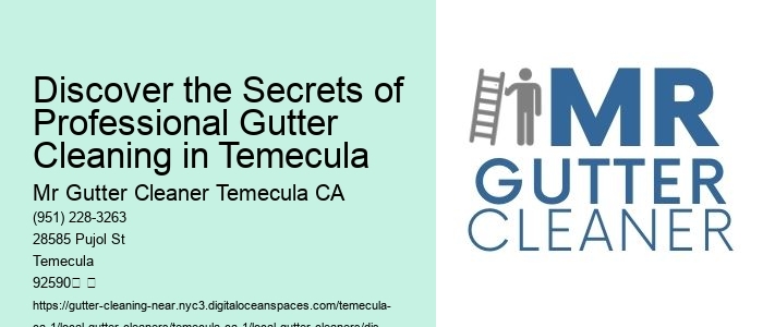 Discover the Secrets of Professional Gutter Cleaning in Temecula
