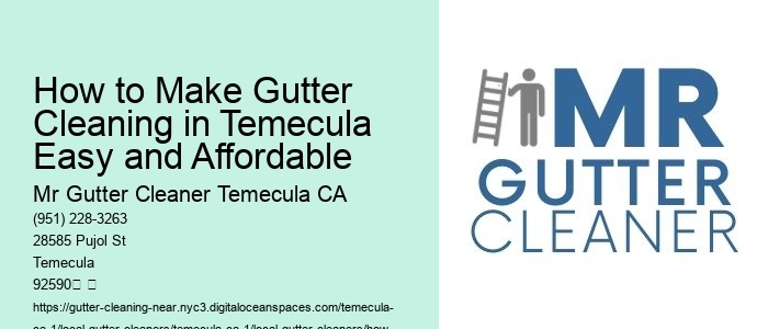 How to Make Gutter Cleaning in Temecula Easy and Affordable 