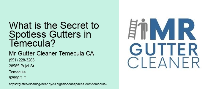 What is the Secret to Spotless Gutters in Temecula? 