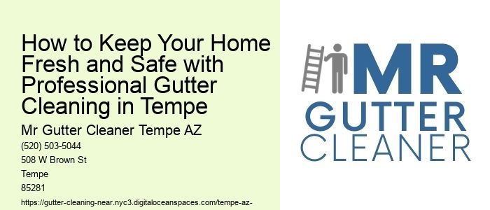 How to Keep Your Home Fresh and Safe with Professional Gutter Cleaning in Tempe 