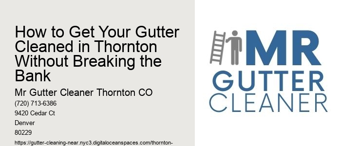 How to Get Your Gutter Cleaned in Thornton Without Breaking the Bank 