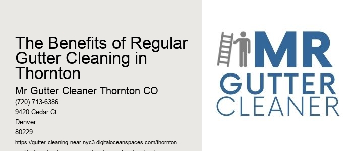The Benefits of Regular Gutter Cleaning in Thornton