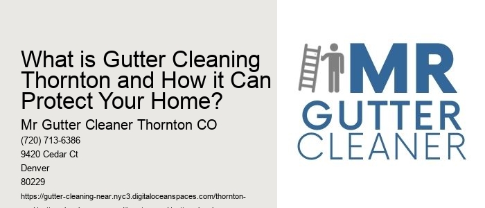 What is Gutter Cleaning Thornton and How it Can Protect Your Home? 