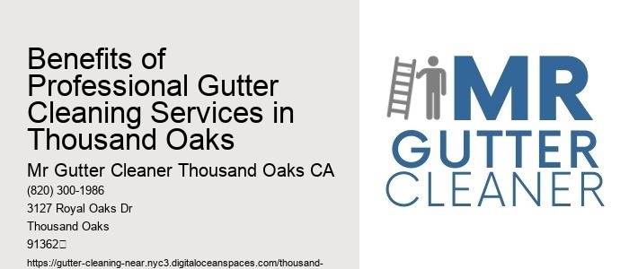 Benefits of Professional Gutter Cleaning Services in Thousand Oaks 