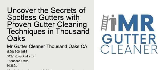 Uncover the Secrets of Spotless Gutters with Proven Gutter Cleaning Techniques in Thousand Oaks