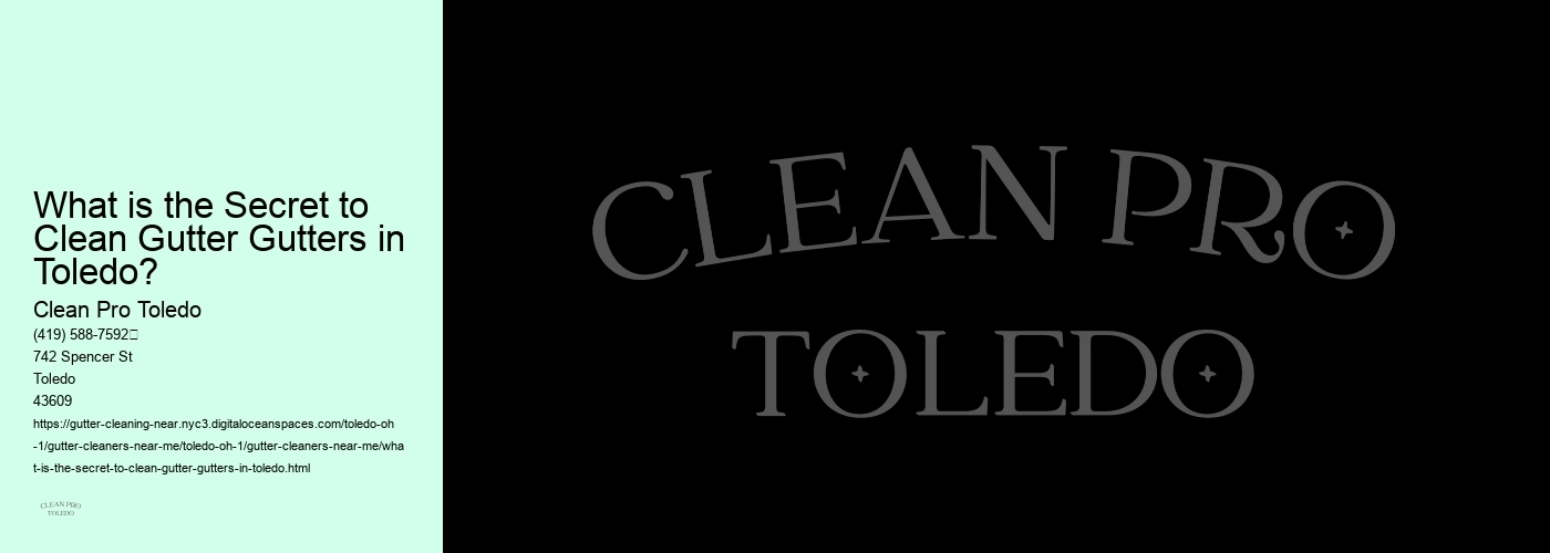 What is the Secret to Clean Gutter Gutters in Toledo?