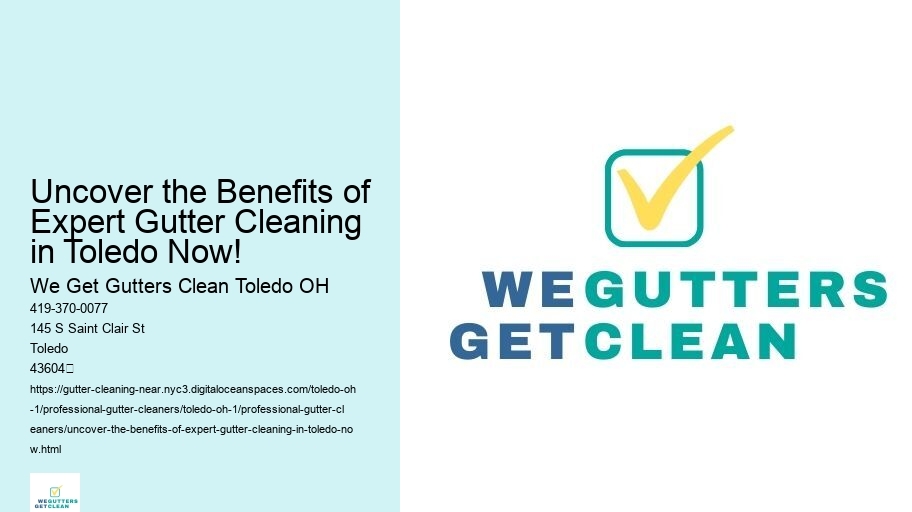 Uncover the Benefits of Expert Gutter Cleaning in Toledo Now!