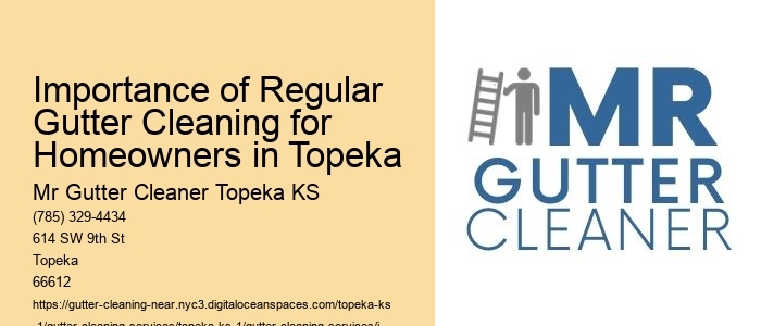 Importance of Regular Gutter Cleaning for Homeowners in Topeka 
