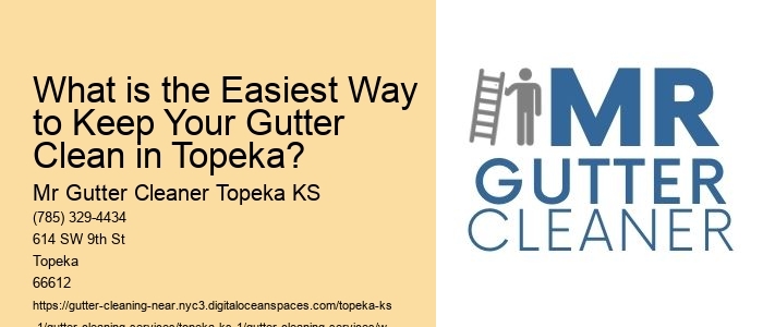 What is the Easiest Way to Keep Your Gutter Clean in Topeka? 