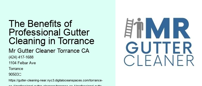 The Benefits of Professional Gutter Cleaning in Torrance 