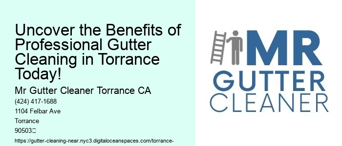 Uncover the Benefits of Professional Gutter Cleaning in Torrance Today!