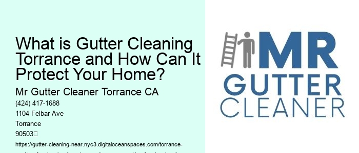 What is Gutter Cleaning Torrance and How Can It Protect Your Home? 