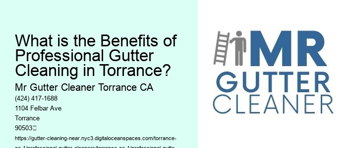 What is the Benefits of Professional Gutter Cleaning in Torrance?