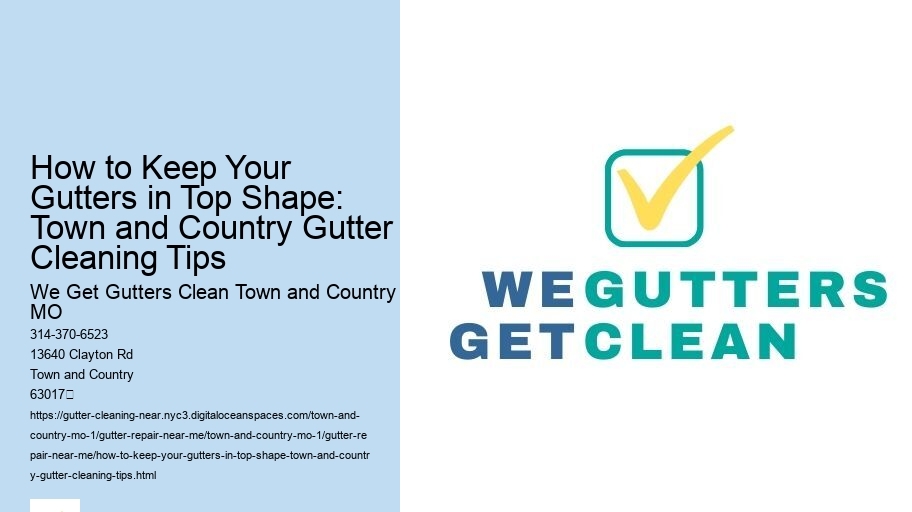 How to Keep Your Gutters in Top Shape: Town and Country Gutter Cleaning Tips 