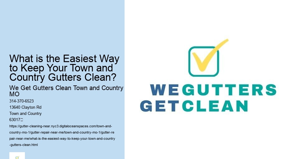 What is the Easiest Way to Keep Your Town and Country Gutters Clean? 