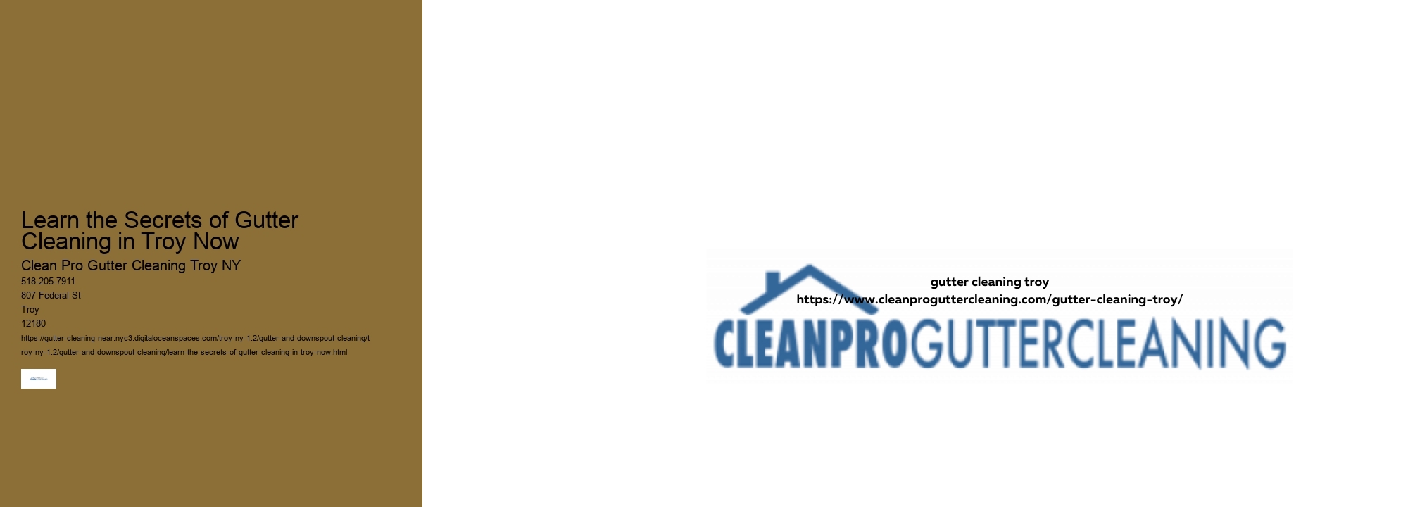 Learn the Secrets of Gutter Cleaning in Troy Now 