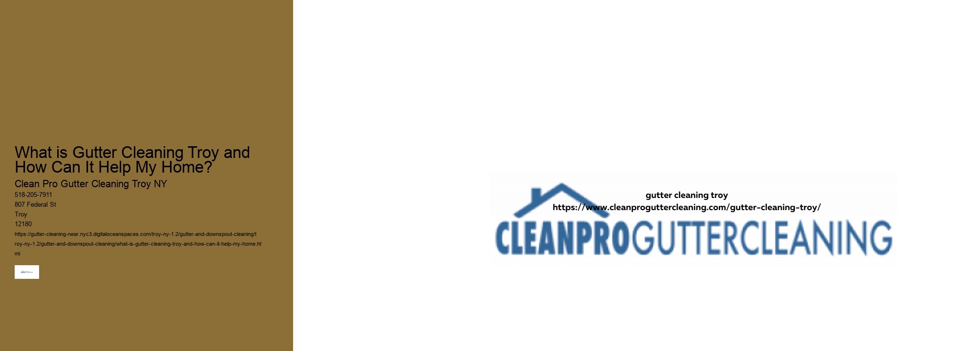 What is Gutter Cleaning Troy and How Can It Help My Home? 