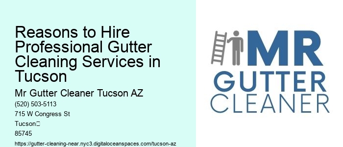 Reasons to Hire Professional Gutter Cleaning Services in Tucson 