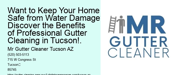 Want to Keep Your Home Safe from Water Damage? Discover the Benefits of Professional Gutter Cleaning in Tucson!.