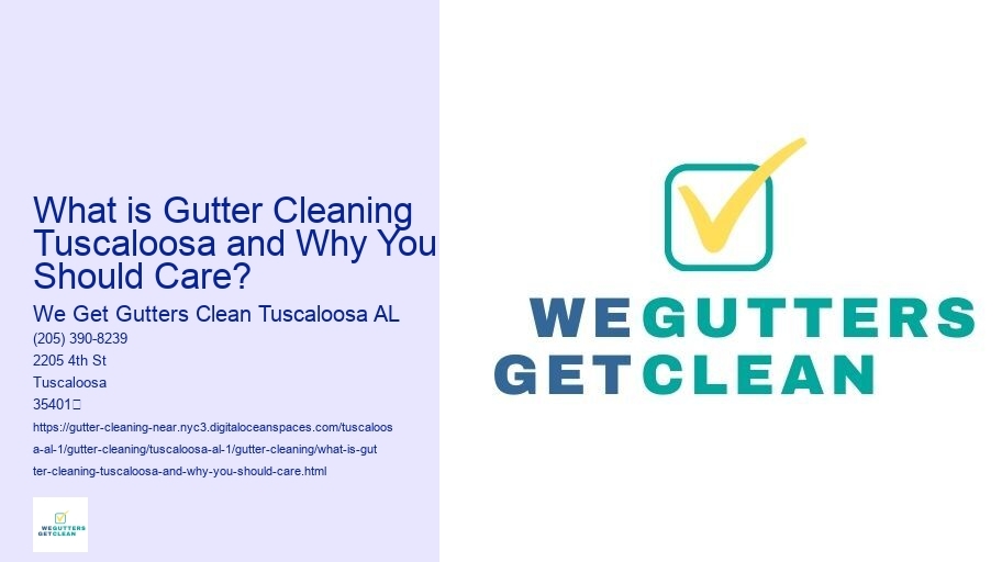 What is Gutter Cleaning Tuscaloosa and Why You Should Care?