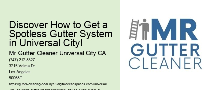Discover How to Get a Spotless Gutter System in Universal City!