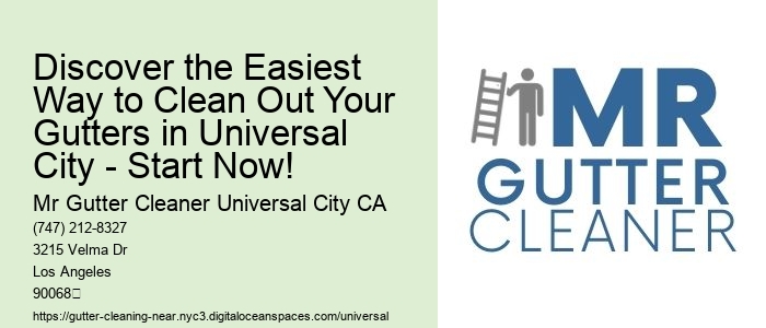 Discover the Easiest Way to Clean Out Your Gutters in Universal City - Start Now!