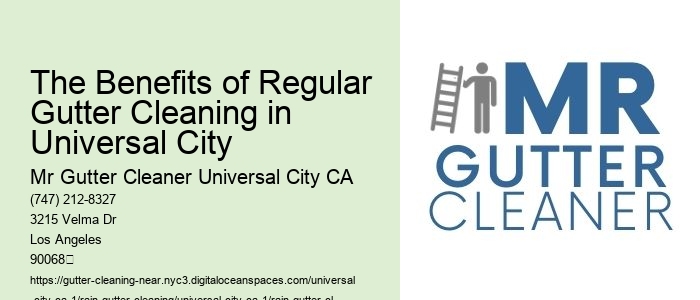 The Benefits of Regular Gutter Cleaning in Universal City 