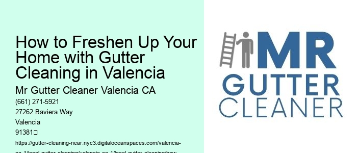 How to Freshen Up Your Home with Gutter Cleaning in Valencia 