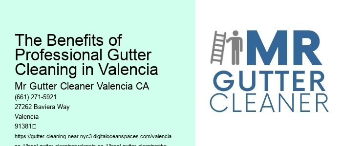 The Benefits of Professional Gutter Cleaning in Valencia 