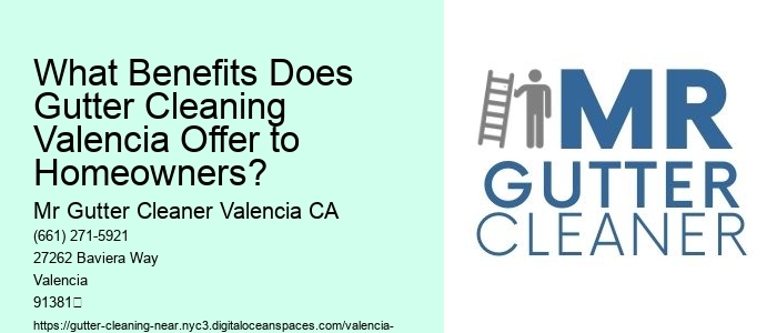 What Benefits Does Gutter Cleaning Valencia Offer to Homeowners?