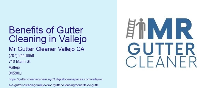 Benefits of Gutter Cleaning in Vallejo 