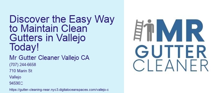 Discover the Easy Way to Maintain Clean Gutters in Vallejo Today!