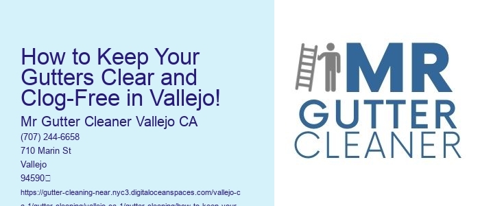 How to Keep Your Gutters Clear and Clog-Free in Vallejo! 