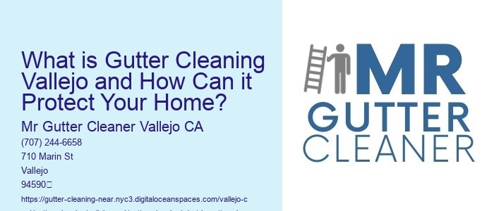 What is Gutter Cleaning Vallejo and How Can it Protect Your Home? 
