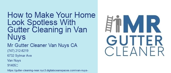 How to Make Your Home Look Spotless With Gutter Cleaning in Van Nuys 