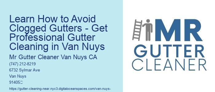 Learn How to Avoid Clogged Gutters - Get Professional Gutter Cleaning in Van Nuys