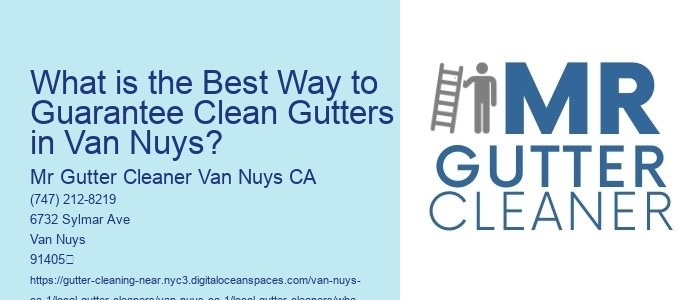 What is the Best Way to Guarantee Clean Gutters in Van Nuys?