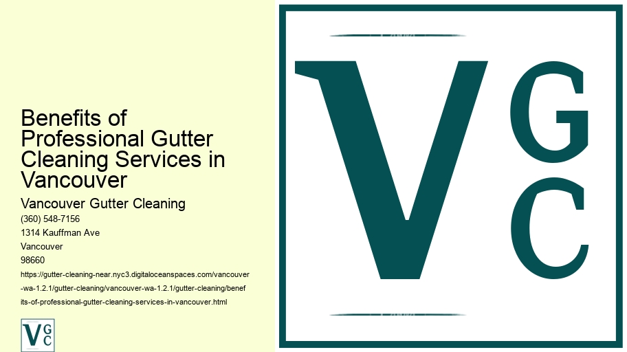 Benefits of Professional Gutter Cleaning Services in Vancouver