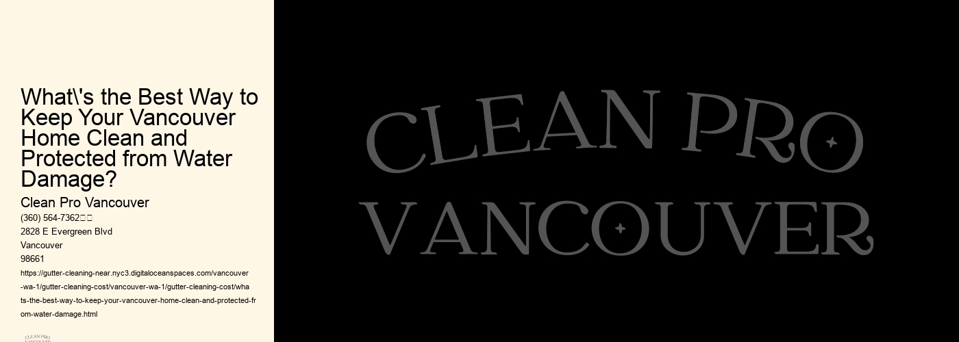 What's the Best Way to Keep Your Vancouver Home Clean and Protected from Water Damage?