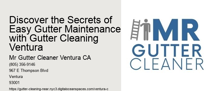 Discover the Secrets of Easy Gutter Maintenance with Gutter Cleaning Ventura