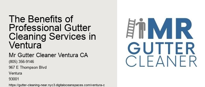 The Benefits of Professional Gutter Cleaning Services in Ventura 
