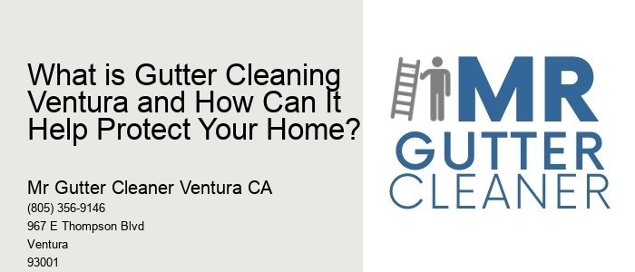 What is Gutter Cleaning Ventura and How Can It Help Protect Your Home? 