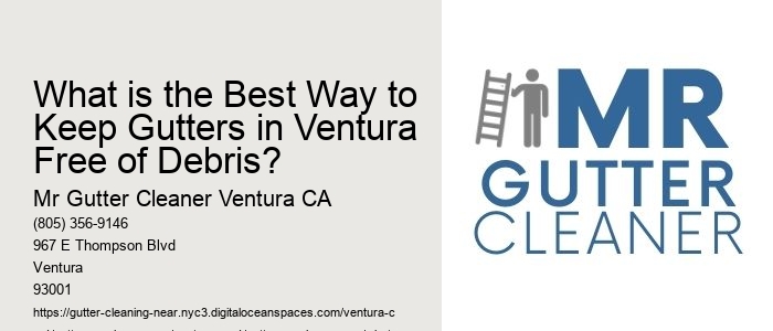 What is the Best Way to Keep Gutters in Ventura Free of Debris?