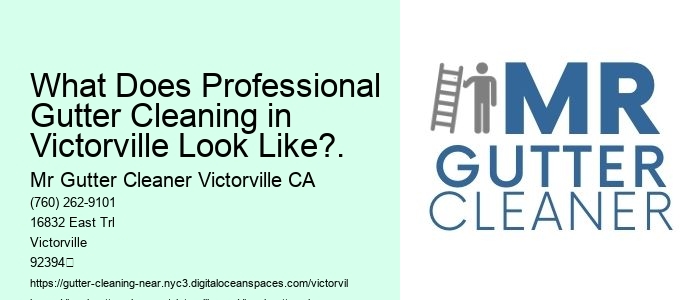 What Does Professional Gutter Cleaning in Victorville Look Like?.