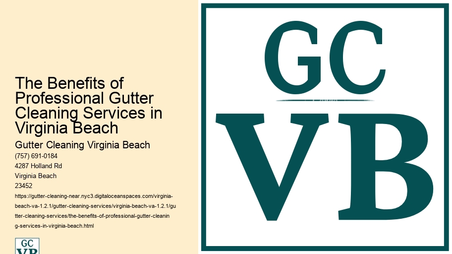 The Benefits of Professional Gutter Cleaning Services in Virginia Beach 