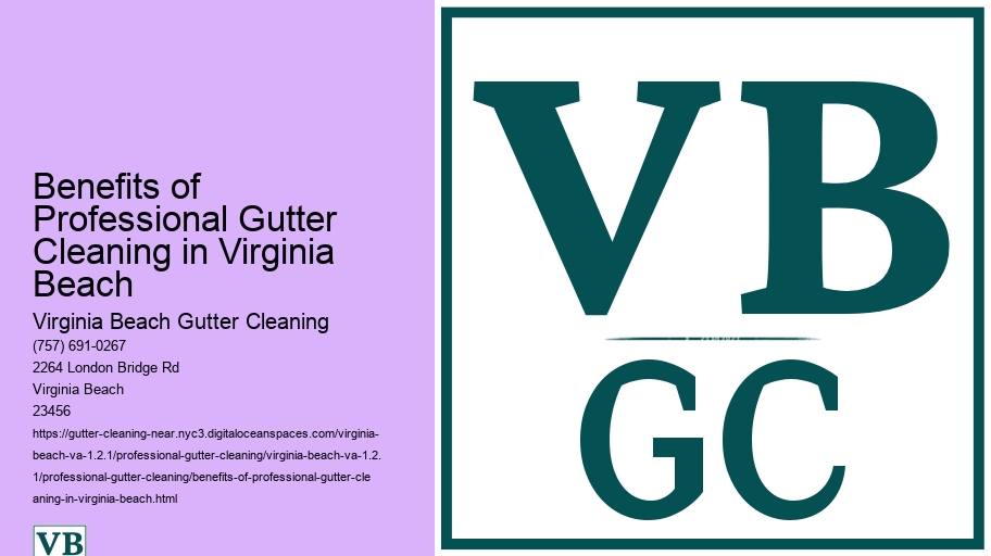 Benefits of Professional Gutter Cleaning in Virginia Beach 