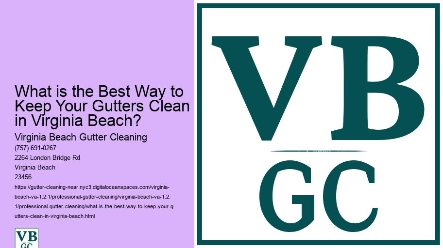What is the Best Way to Keep Your Gutters Clean in Virginia Beach? 