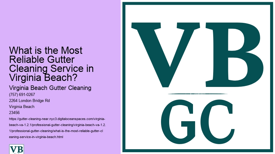 What is the Most Reliable Gutter Cleaning Service in Virginia Beach? 